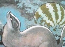 猹猹娱乐吃瓜,揭秘娱乐圈最新吃瓜事件