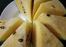 吃瓜论坛有哪些,热门话题与网友热议一览